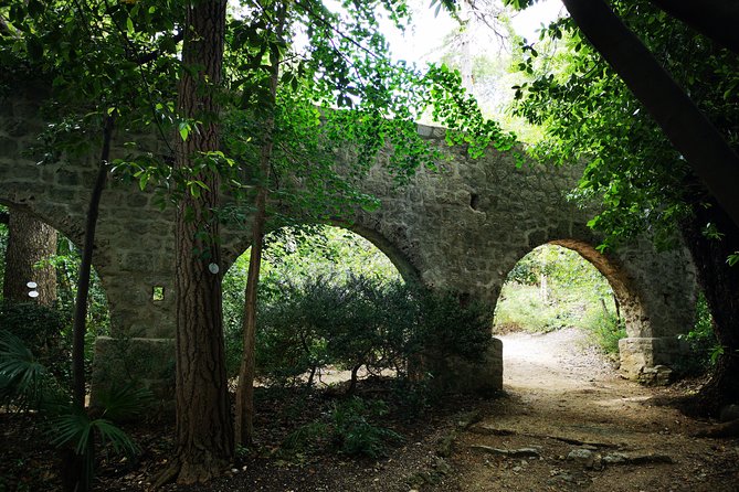 Panorama Dubrovnik & Arboretum Trsteno PRIVATE TOUR - Who should book this Dubrovnik outing?