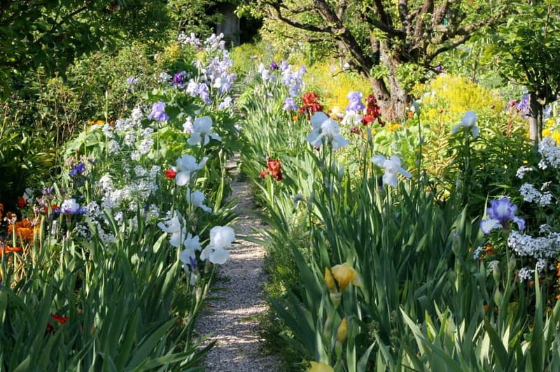 Paris: Giverny Gardens Day Trip with Professional Tour Guide - Key points at a glance