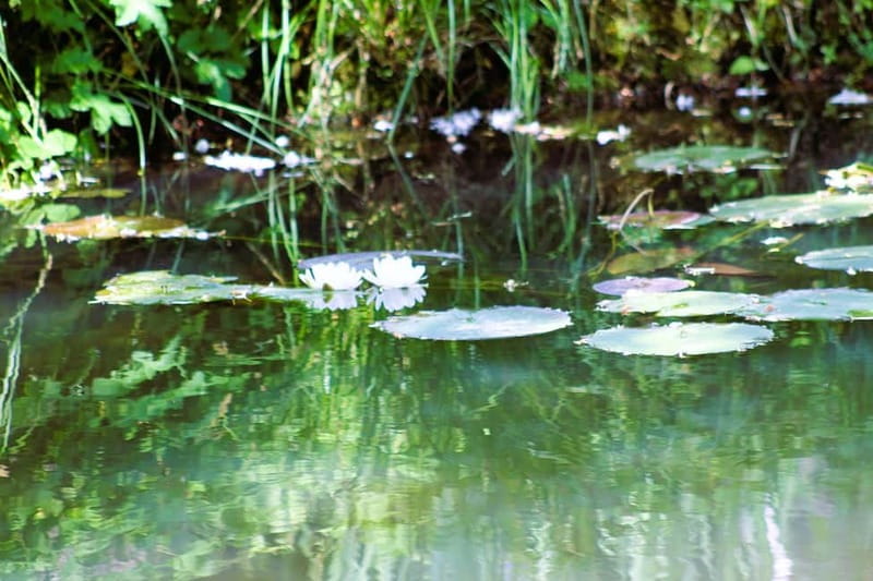 Paris: Giverny Gardens Day Trip with Professional Tour Guide - Giverny village, church, galleries, and cafes
