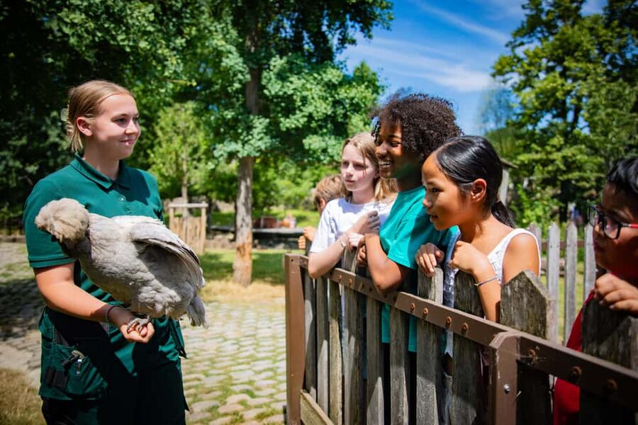 Paris: Jardin d'Acclimatation 1-Day Unlimited Pass - Who will enjoy this park most