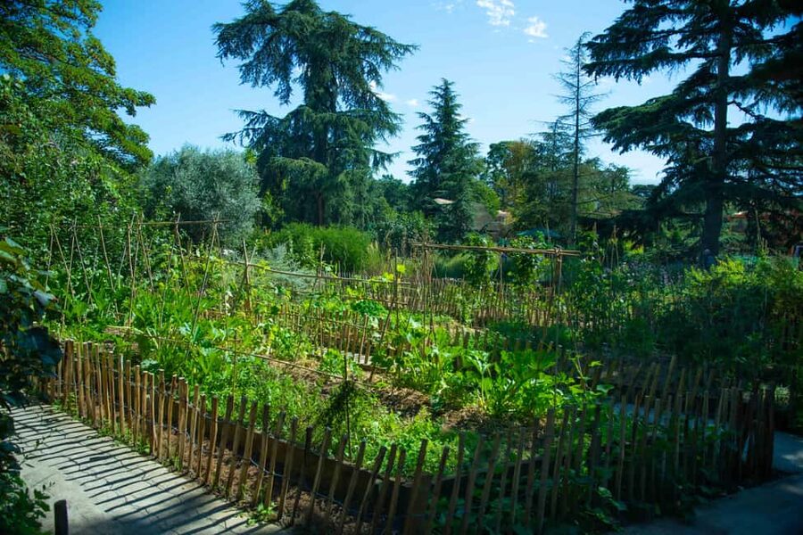 Paris : Jardin d'Acclimatation Entry Ticket without ride - Art, Seasonal Events, and the Japanese Exhibition