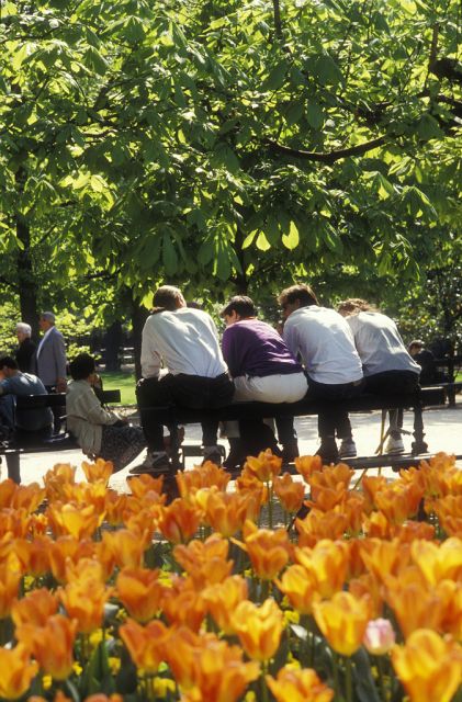 Paris Secret Gardens 1.30 hour long Walking Tour - Price, pace, and what you receive