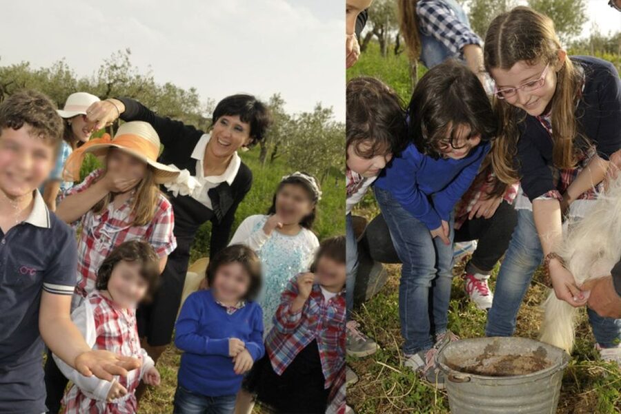 Partinico: Farm's Animals and Aromatic Garden Experience - Following the paths to the olive grove, vineyard, and citrus grove
