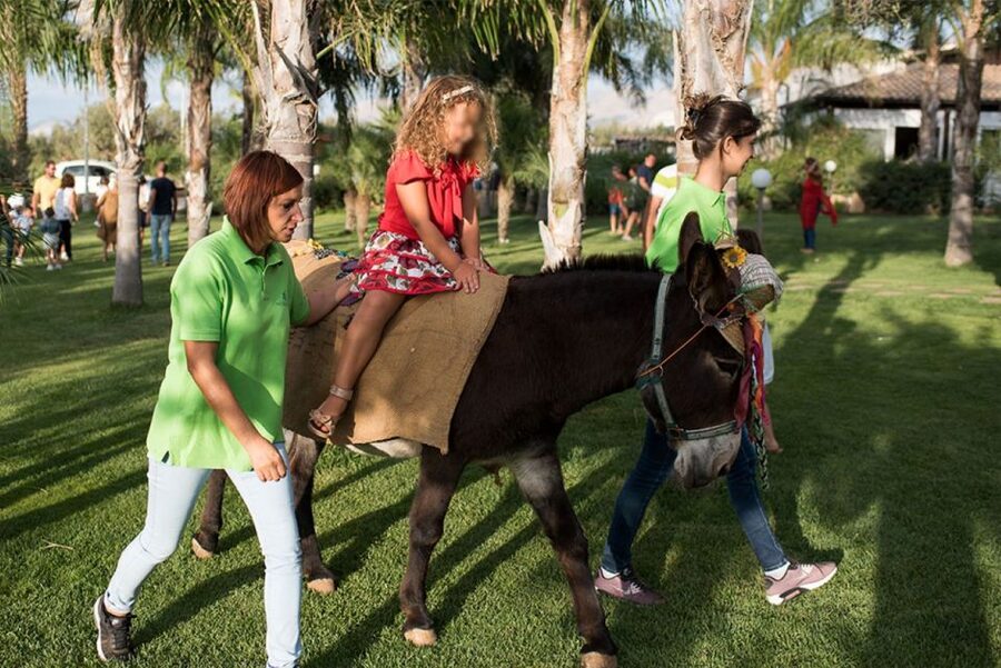 Partinico: Farm's Animals and Aromatic Garden Experience - Using your nose in the aromatic garden