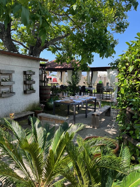 Pasta Cooking Class in a Garden near Pompeii - Is Three Hours Enough?