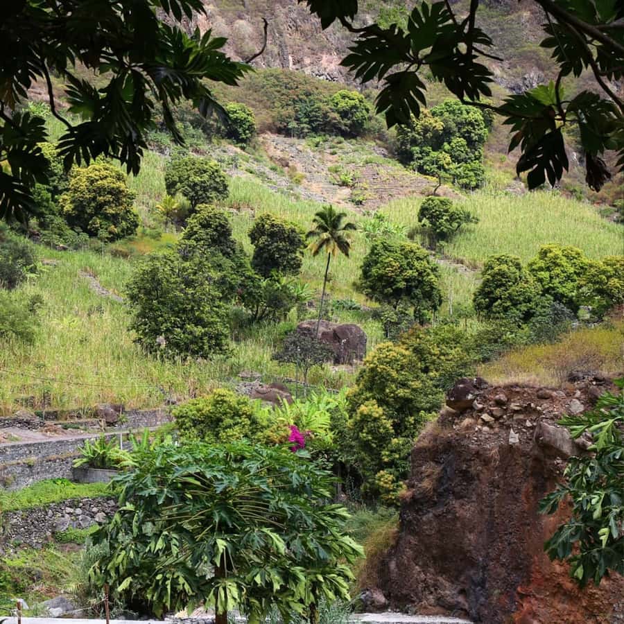 Paúl hike, the green garden - Should you book Paúl hike, the green garden?
