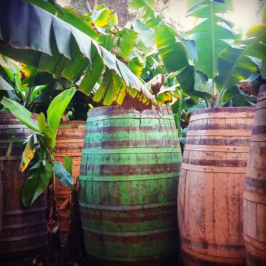 Paúl hike, the green garden - A taste of Paúl’s rum and local punches