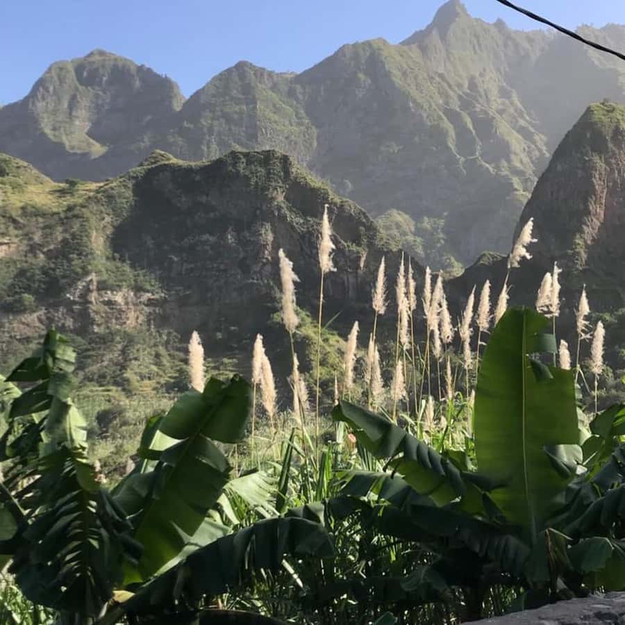 Paúl hike, the green garden - Lunch at the end, with one cost to watch