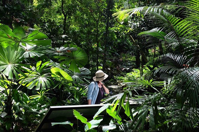 Penang Half Day City Tour Including Tropical Spice Garden - The Tropical Spice Garden begins the day