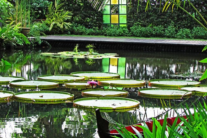 Penang Round Island Tour With Tropical Spice Garden & Entopia Butterfly Farm - Why this route works for a first look at Penang