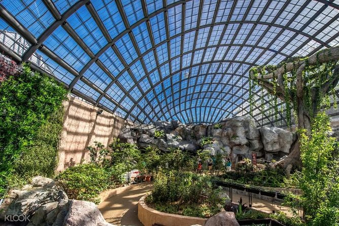 Penang Round Island Tour With Tropical Spice Garden & Entopia Butterfly Farm - What the private ride adds to the day