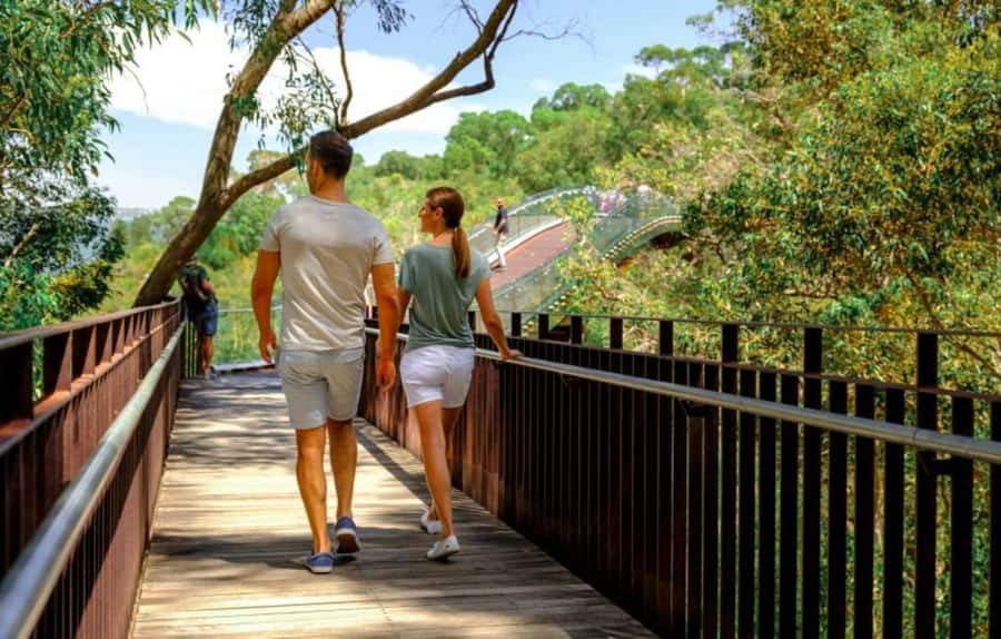 Perth: Kings Park Botanicals & Beyond Guided Hike - How demanding is the 7km trail?