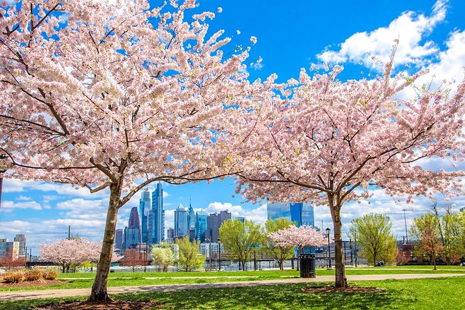 Philadelphia Cherry Blossom 1-Day Tour from New York - Why this day trip works from New York
