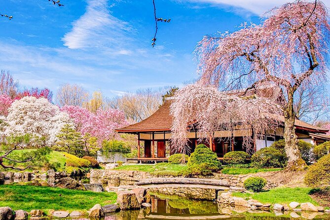 Philadelphia Cherry Blossom 1-Day Tour from New York - What to bring and what to watch