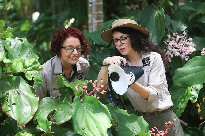 Photography and Nature in Cairns Botanic Gardens Let's Go Buggin - What happens during the 8:30 a.m. morning walk