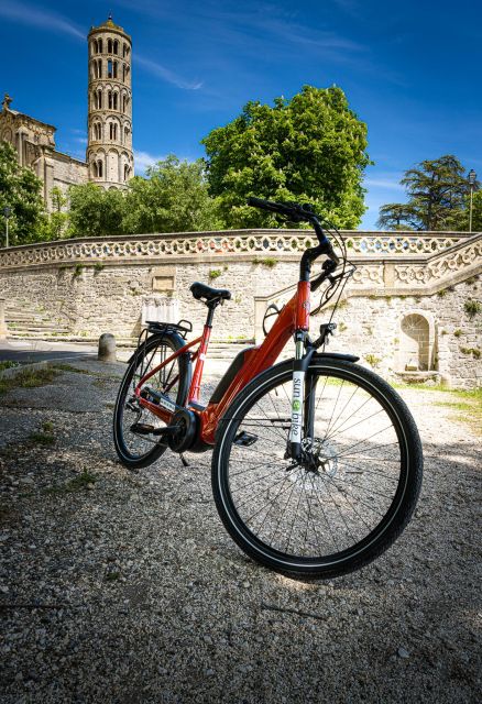Picnic next to Lavender fields by e-bike - Who will enjoy this ride most