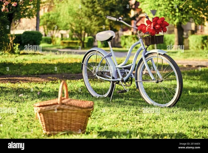 Picnic next to Lavender fields by e-bike - Timing your visit for lavender