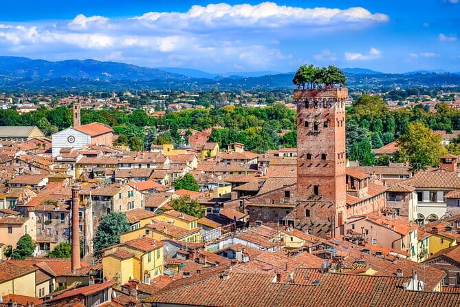 Pitti Palace & Boboli gardens tour with a Local Guide - Who will get the most from the $234.80 price