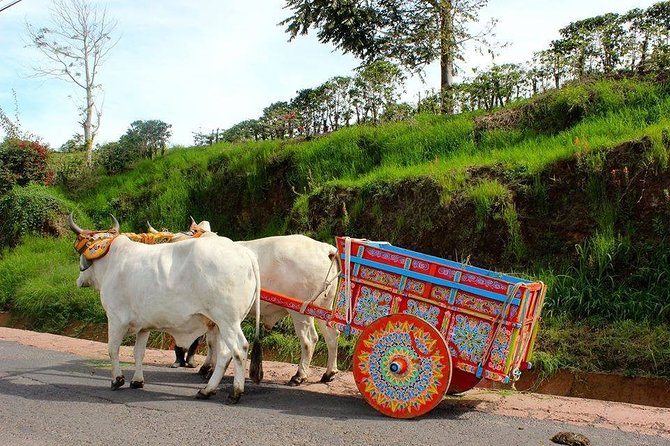 Poas Volcano + Coffee Plantations & La Paz Waterfall Gardens Trip from San Jose - What the $199 price really covers