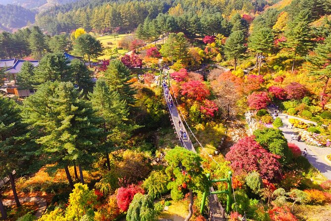Pocheon Art Valley, Garden & Fruit Picking Day Tour from Seoul - Winter changes the route at Chorigol-gil
