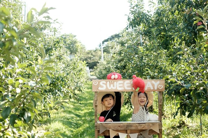 Pocheon Art Valley, Garden & Fruit Picking Day Tour from Seoul - Transport, guides, and the pace of the day