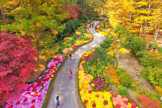 Pocheon Art Valley, Garden & Fruit Picking Day Tour from Seoul - What the $72.38 price really covers