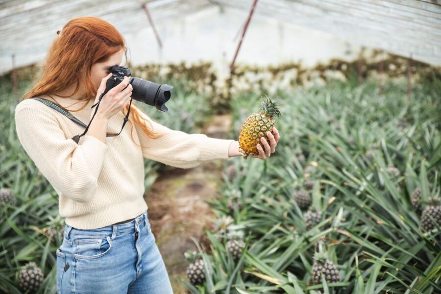 Ponta Delgada: Greenhouse Hot Tube with Pineapple Tour - What makes the pineapple tasting worthwhile