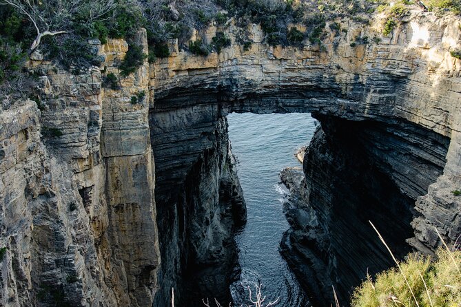 Port Arthur, Richmond and Lavender Active Day Tour - The guides can make or break the long day