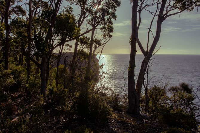 Port Arthur, Richmond and Lavender Active Day Tour - Is $121.93 good value?