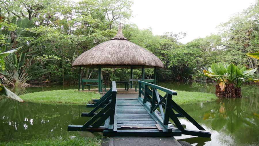 Port Louis Market, Botanical Garden -Northern Mauritius Tour - Is $125 good value for up to four people?