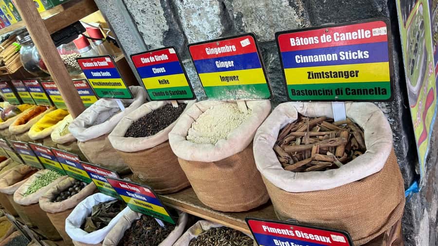 Port Louis Market, Botanical Garden -Northern Mauritius Tour - Chinatown, Caudan Waterfront, and Fort Adelaide