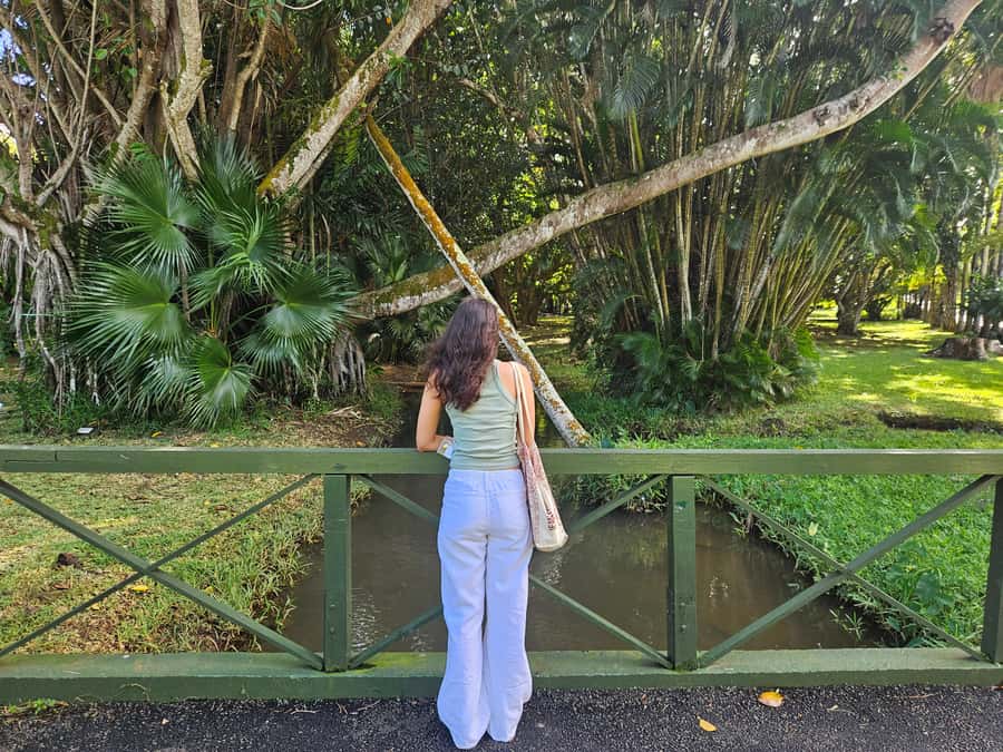 Port Louis: Mont Choisy, Botanical Garden, and Church Tour - Cap Malheureux and the red church