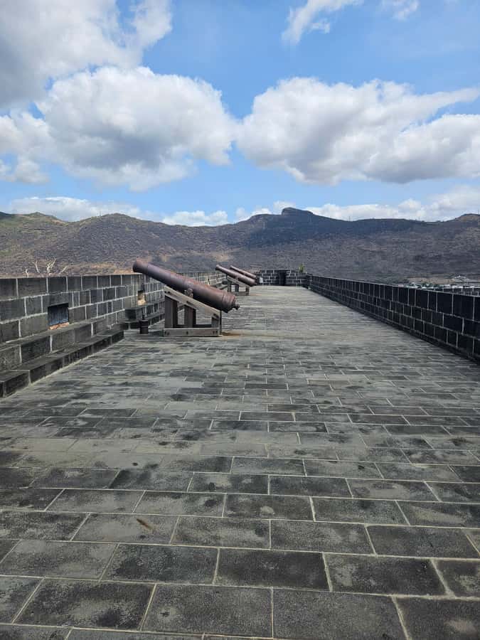 Port Louis: Mont Choisy, Botanical Garden, and Church Tour - Who should book this tour