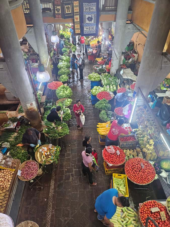Port Louis: Mont Choisy, Botanical Garden, and Church Tour - Should you book it?
