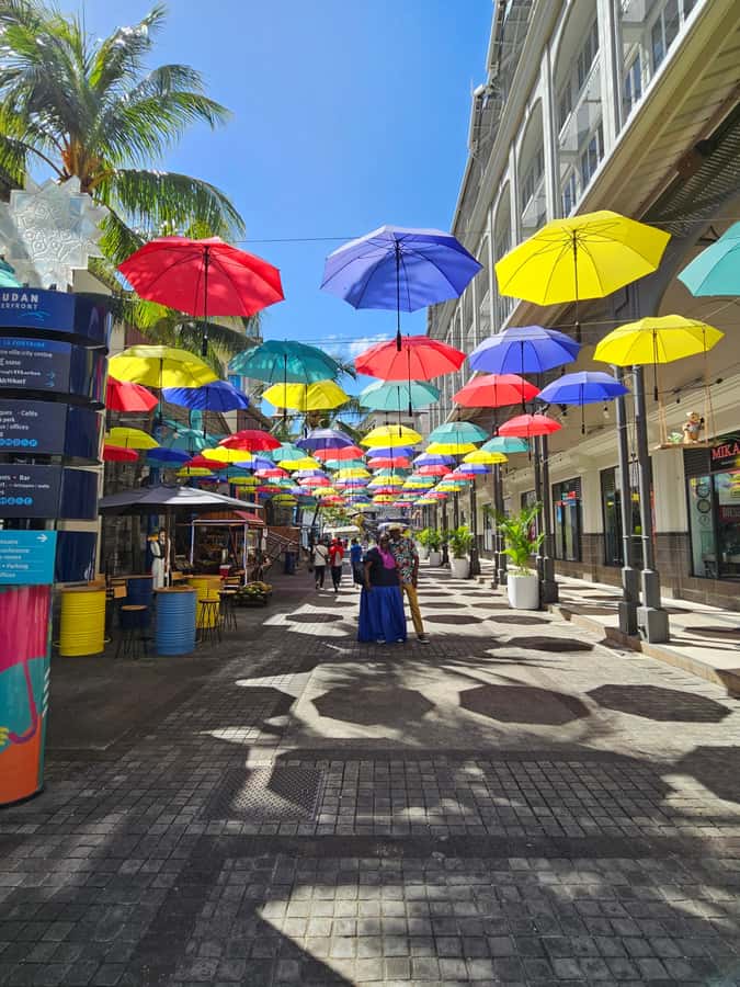 Port Louis: Mont Choisy, Botanical Garden, and Church Tour - Pamplemousses Botanical Garden and the case for extra time