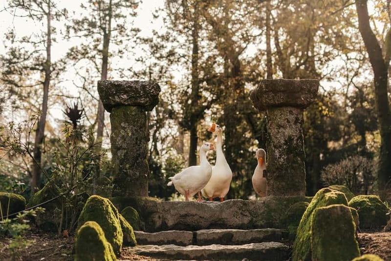 Porto: Qta da Aveleda Enchanted Gardens & Green Wine - Why Quinta da Aveleda feels different from a typical winery visit