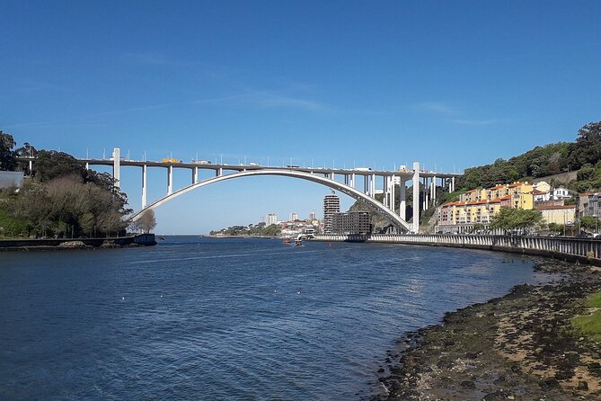 Porto Riverbank E-Bike Tour - Atlantic Coast, Gardens - Porto’s biggest parks on two wheels