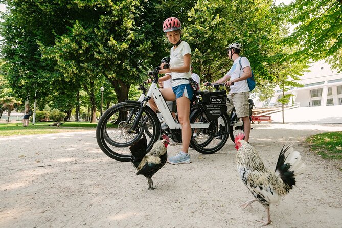 Porto Riverbank E-Bike Tour - Atlantic Coast, Gardens - Jardim do Calém and Passeio Alegre