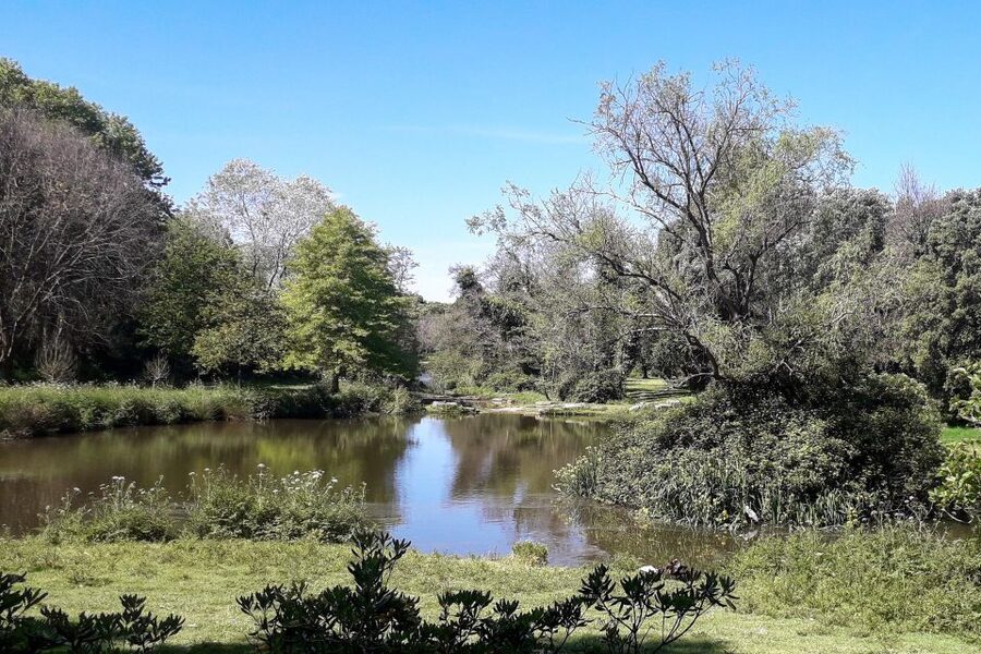 Porto Riverbank Tour on an e-bike: Atlantic Coast, Gardens - Parque da Cidade: Porto’s open green side