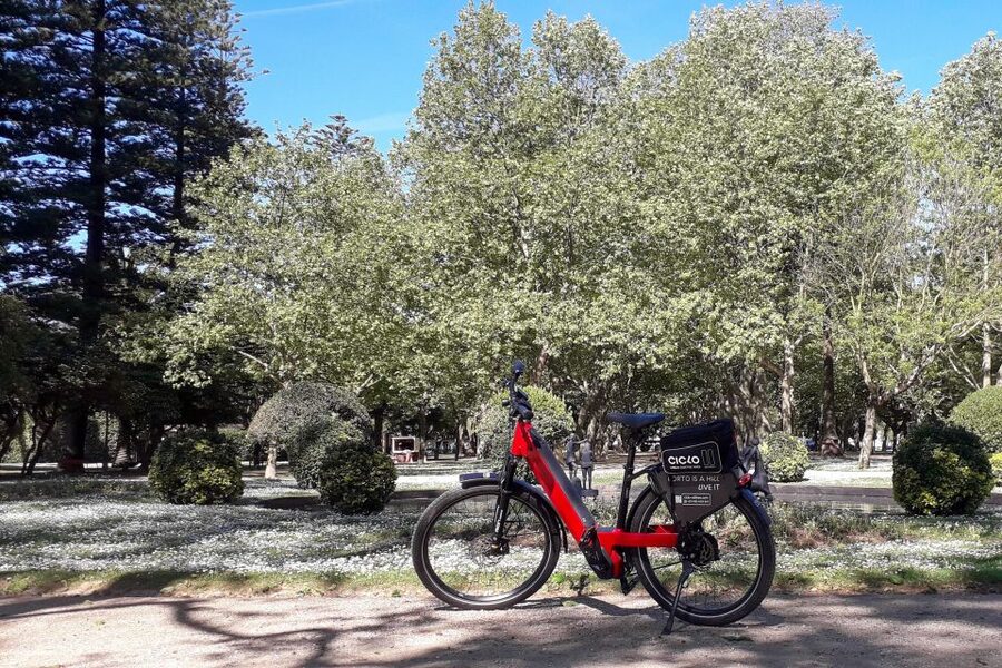 Porto Riverbank Tour on an e-bike: Atlantic Coast, Gardens - Pasteleira Park and the route back inland