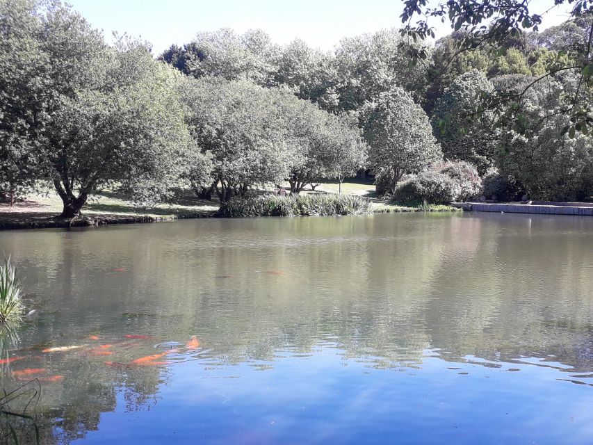 Porto Riverbank Tour on an e-bike: Atlantic Coast, Gardens - Massarelos and Porto’s historic finish