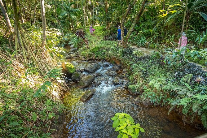 Princeville Botanical Gardens Tour and Chocolate Tasting Ticket - A garden tour with chocolate at its center