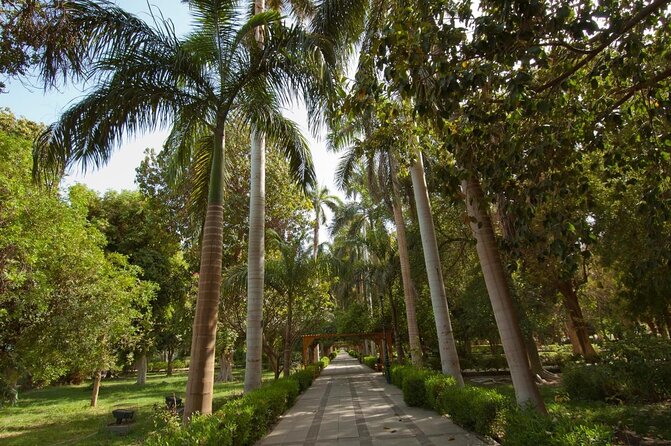 Private 1-Hour Felucca Sailing and Botanical Garden In Aswan - A short felucca ride with a useful second stop