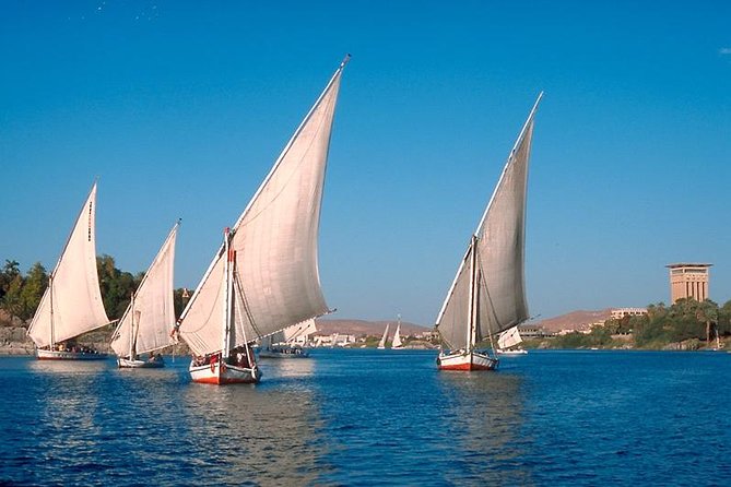 Private 1-Hour Felucca Sailing and Botanical Garden In Aswan - What the guide service may be like