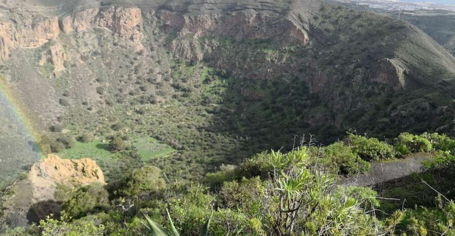 Private Bandama Caldera Volcano, Botanic Garden & Old Town - The Canary Garden needs more than an hour
