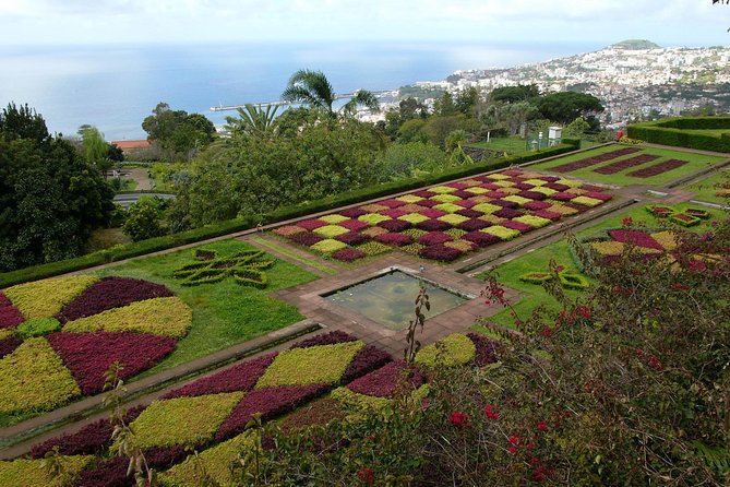 Private Botanical Garden Tour - Why the tuk-tuk is useful in hilly Funchal
