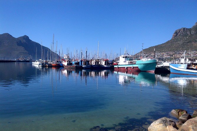 Private Cape Peninsula + Kirstenbosch Garden Full Day Guided Tour - Simon’s Town and Boulders Beach penguins