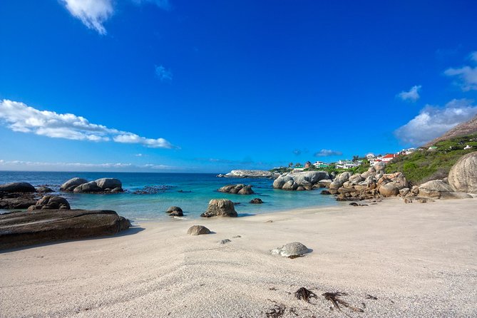 Private Cape Peninsula + Kirstenbosch Garden Full Day Guided Tour - Lunch in Scarborough and the quieter route through Misty Cliffs