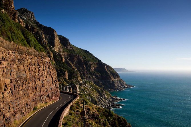 Private Cape Peninsula + Kirstenbosch Garden Full Day Guided Tour - From Clifton to Hout Bay at 8:30 a.m.