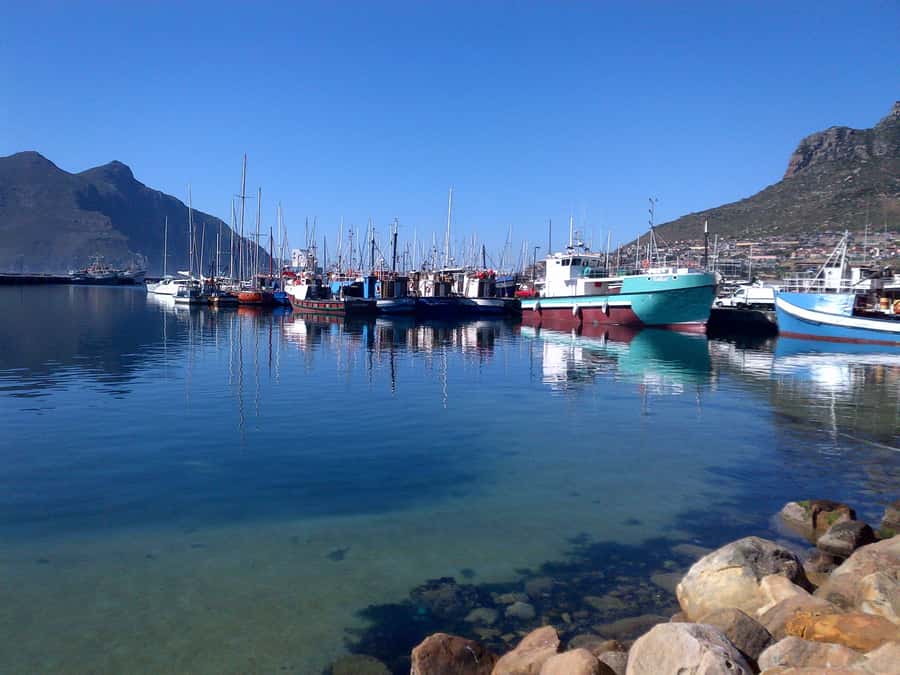 Private Cape Peninsula + Kirstenbosch Garden Guided Tour - Why this private Cape Peninsula day works well